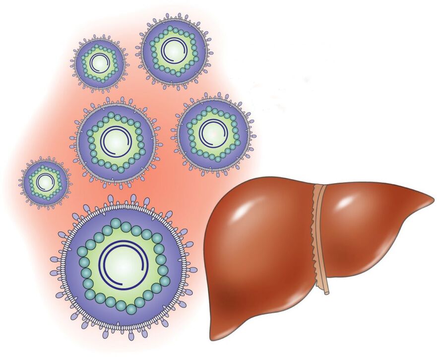 hogyan hatnak a szisztémás gyógyszerek belsőleg